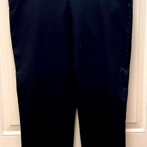 Prophecy Slimming Pants, size 16 W